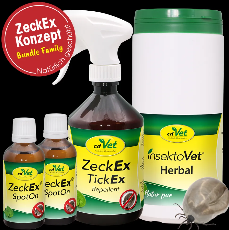 Bundle ZeckEx-Konzept Family