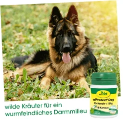 cdProtect Dog