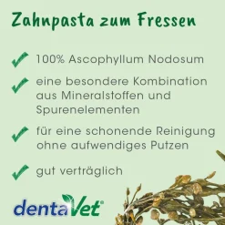dentaVet Anti-Plaque 50 g