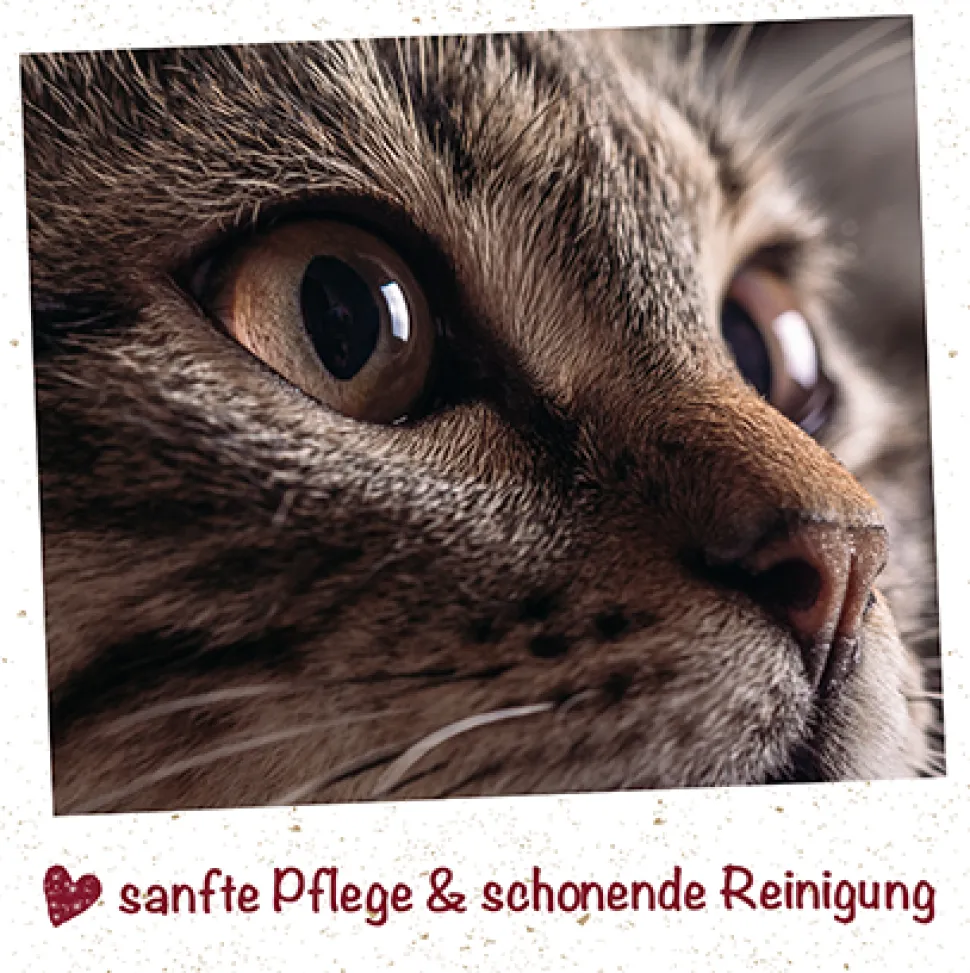 feliTATZ AugenReiniger 20 ml