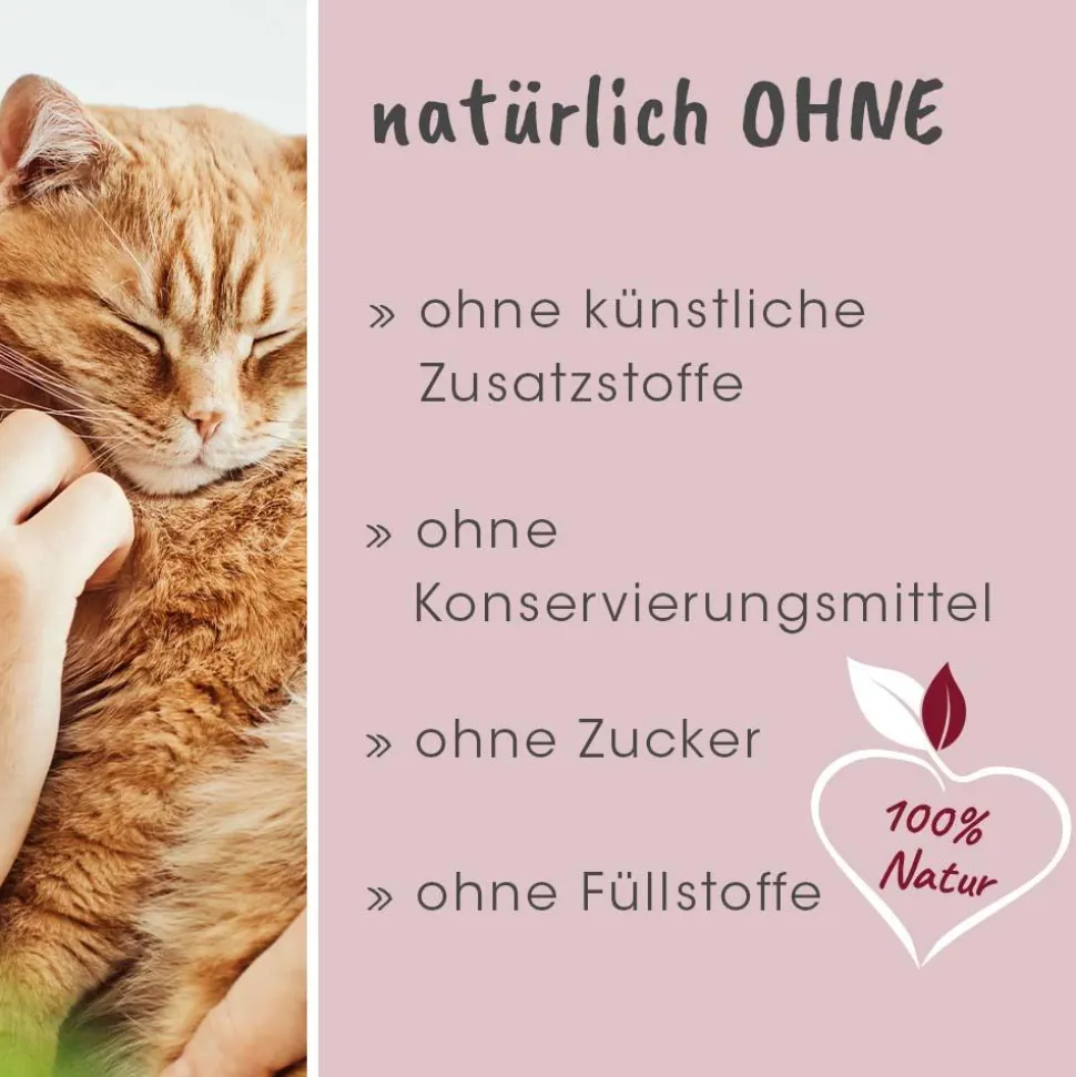 feliTATZ DarmRegulanz 50 g