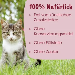 feliTATZ Kittenmilch 90 g