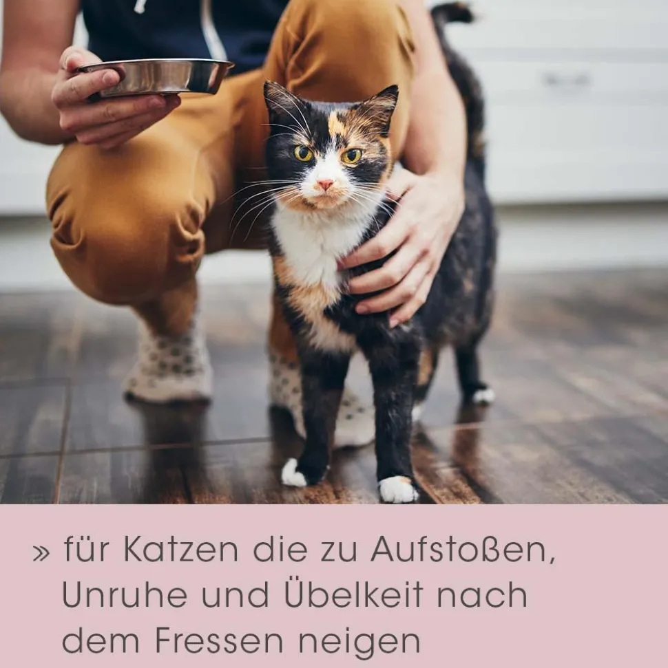 feliTATZ Magenschutz 25 g