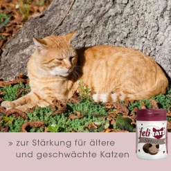 feliTATZ Senior 25 g