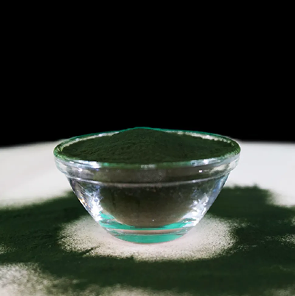 Fit-BARF Bio-Chlorella 36 g