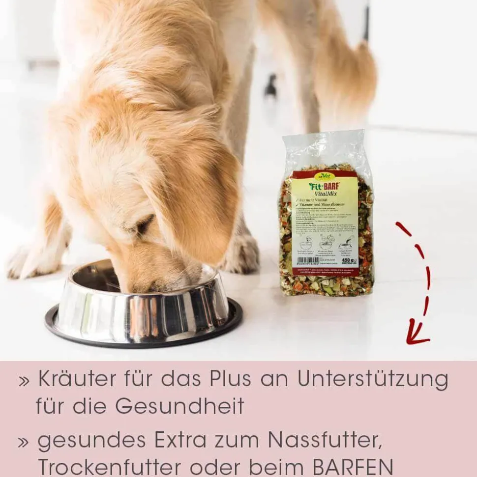 Fit-BARF VitalMix 450 g -sorbe-