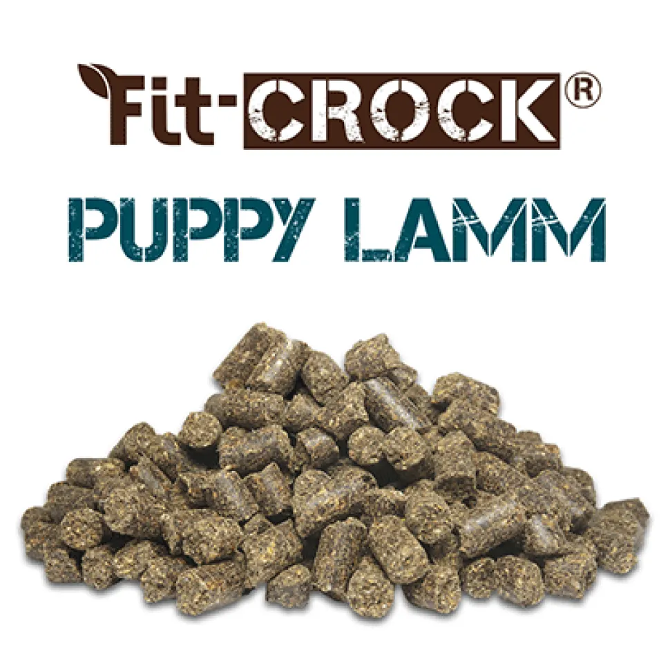 Fit-Crock Puppy Lamm 10 kg