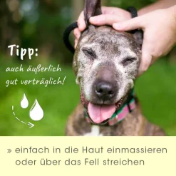 insektoVet Bio-Kokos-Schwarzkümmel-Öl 100 ml