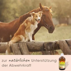 Singulares Ägyptisches Bio-Schwarzkümmelöl 50 ml