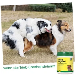 TriebRegulat 300 g