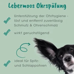 VeaVet Lebermoos Ohrspülung 100 ml